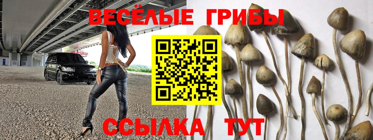 Нижний Новгород  дарнет шоп  Галлюциногенные грибы Cubensis  Вход с VPN  Псилоцибиновые грибы мухоморы 