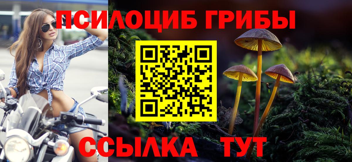 Галлюциногенные грибы мухоморы Нижний Новгород