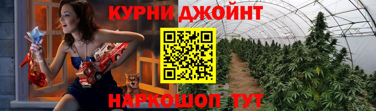 Конопля SATIVA & INDICA Нижний Новгород